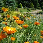 Centrum Turystyczne *