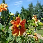 Centrum Turystyczne *