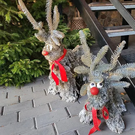 Centrum Turystyczne *