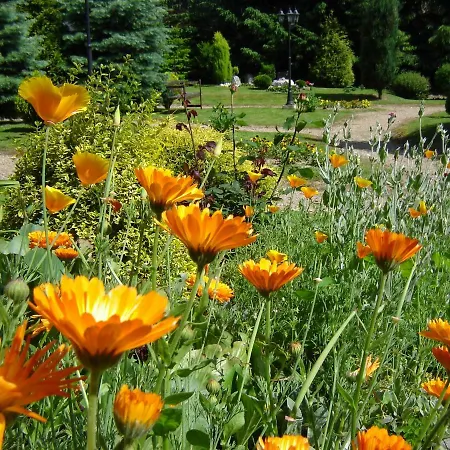 Centrum Turystyczne *