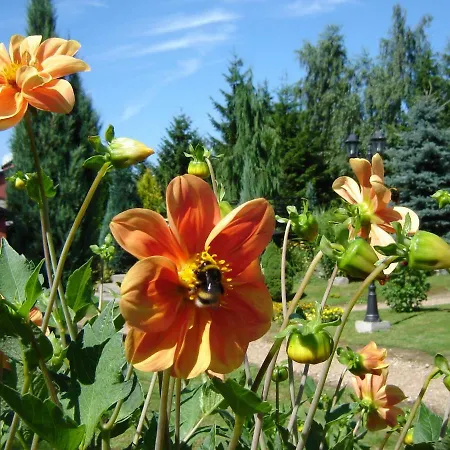 Centrum Turystyczne *