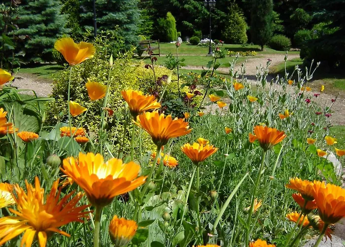 Centrum Turystyczne *