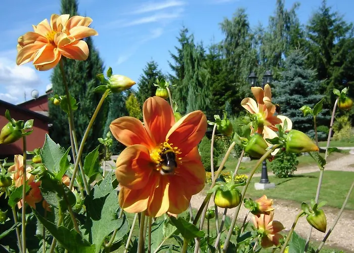 Centrum Turystyczne *